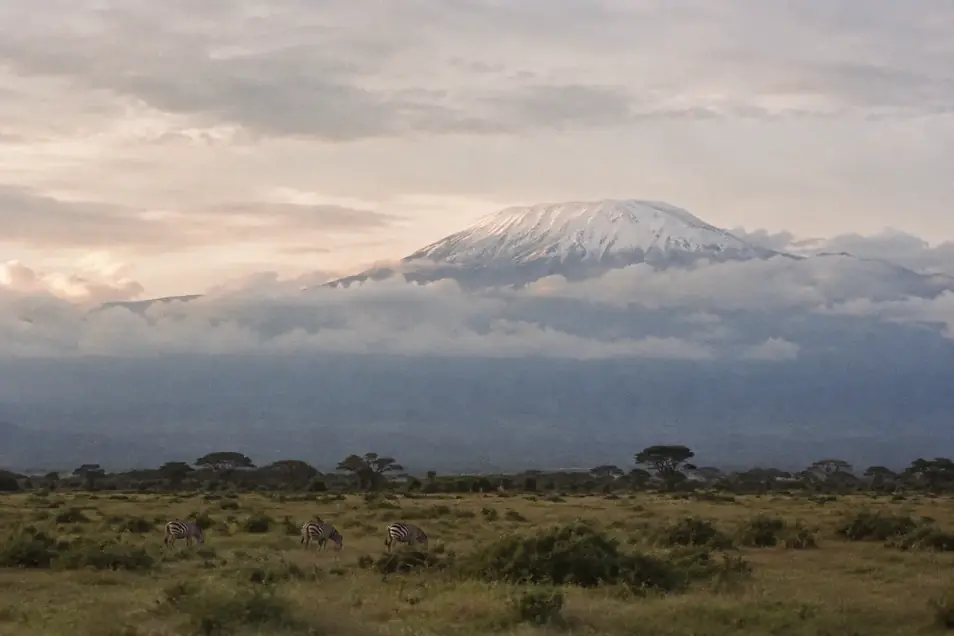 Kilimanjaro landscape